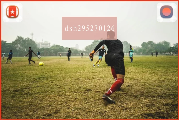 dsh295270126